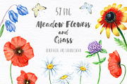 70% OFF! Floral set. Over 115 PNG, a Texture Illustration by Eva Katerina (Thumbnail 5 of 8)