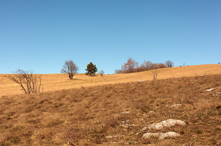 The peak of Slavnik, a Nature Photo by Bepslabor