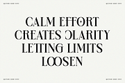 Quenor – Modern Editorial Serif Font, a Serif Font by shineink.designlab (Thumbnail 6 of 10)
