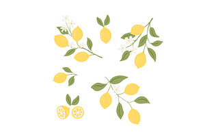 Illustrations of lemons. Hand, an Object Illustration by Nadzin