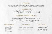 Nagietha - Handwritten Font, a Script Font by Arterfak Project (Thumbnail 10 of 12)
