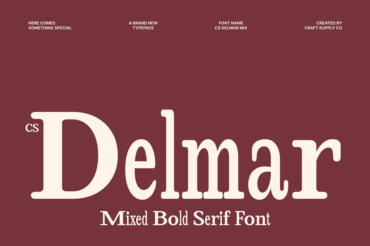 CS Delmar Mix, a Serif Font by Craft Supply Co. (Photo 1 of 8)