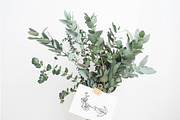 Inked Orchid Illustration Collection, an Illustration by Hannah Eliza Studio (Thumbnail 4 of 4)