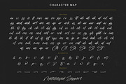 Chaydio Smith Bold Handwritten Font, a Script Font by stylishtype.co (Thumbnail 19 of 20)
