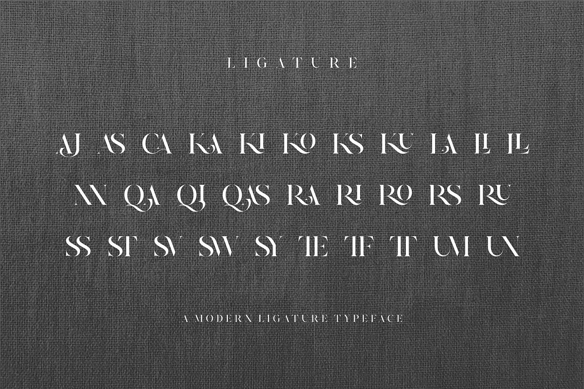 Riqas Modern Ligature Serif, a Serif Font by Dylla_studio (Photo 12 of 12)