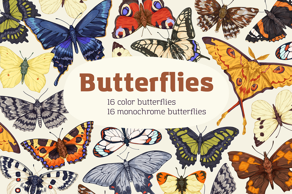 Vintage hand-drawn butterflies set, an Animal Illustration by Good Studio (Photo 1 of 7)