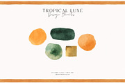 Tropical Luxe Collection, an Illustration by PeDe Designs (Thumbnail 19 of 28)