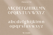 Laisha - Modern Display Font, a Serif Font by Eztudio (Thumbnail 9 of 13)
