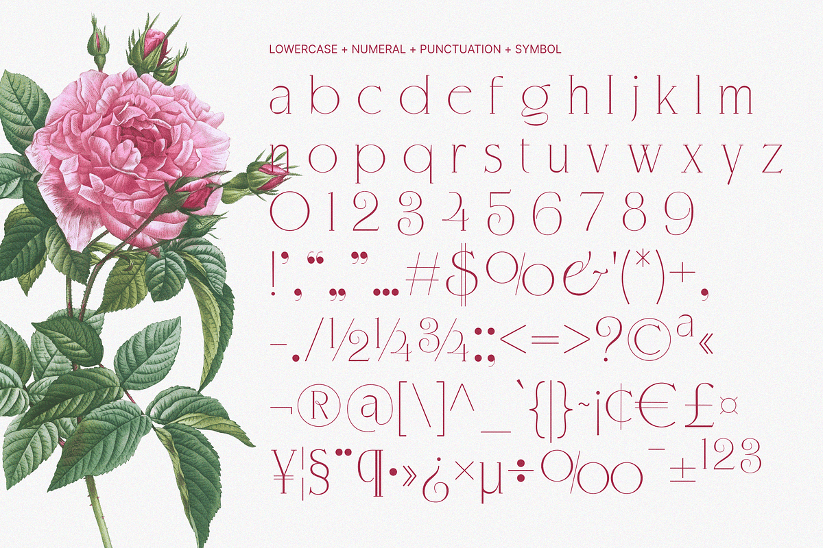 KLENSIG MOCKURA — Elegant & Luxury, a Serif Font by Enxyclo Studio (Photo 23 of 23)