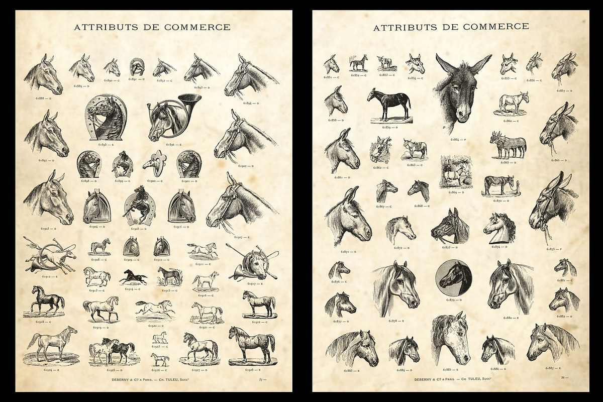 Horses / Vintage engravings preview 3
