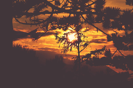 Sunrise At River And Forest preview 5