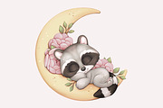 Baby raccoon , baby animals, an Animal Illustration by designs.svkl (Thumbnail 5 of 8)