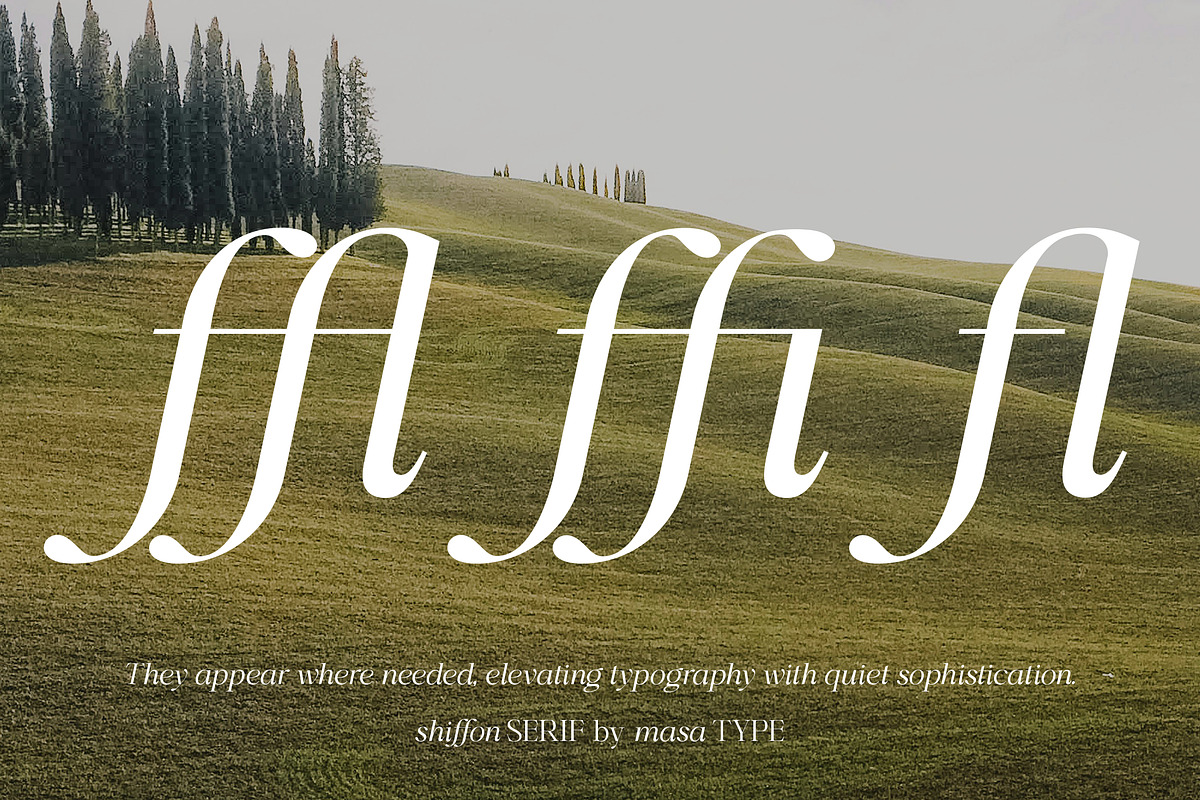 Shiffont Serif, a Serif Font by MasaType (Photo 10 of 12)