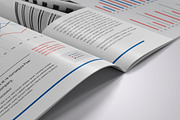 Annual Report, a Brochure Template by Pro-Gh (Thumbnail 3 of 14)