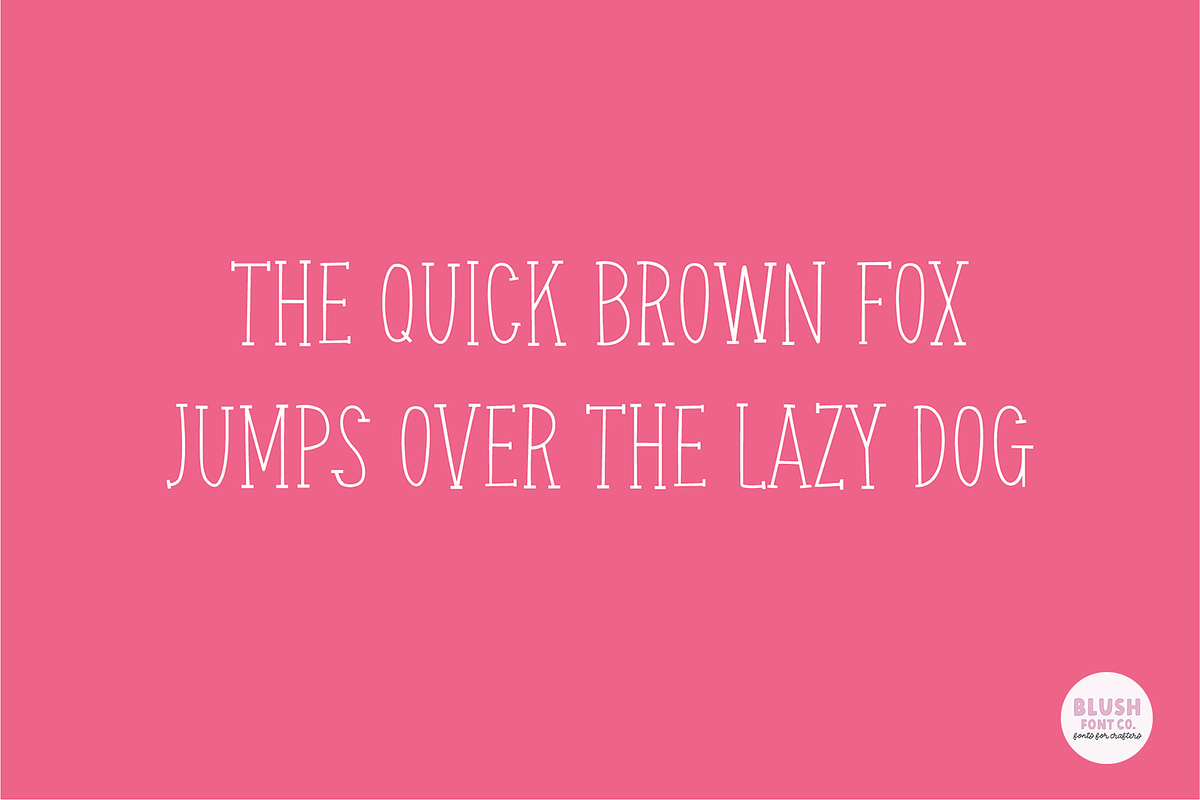 GARDEN TOMATO Farmhouse Serif Font, a Serif Font by Blush Font Co. (Photo 3 of 5)