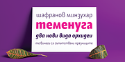 Alamia, a Sans Serif Font by Ani Dimitrova (Thumbnail 4 of 12)