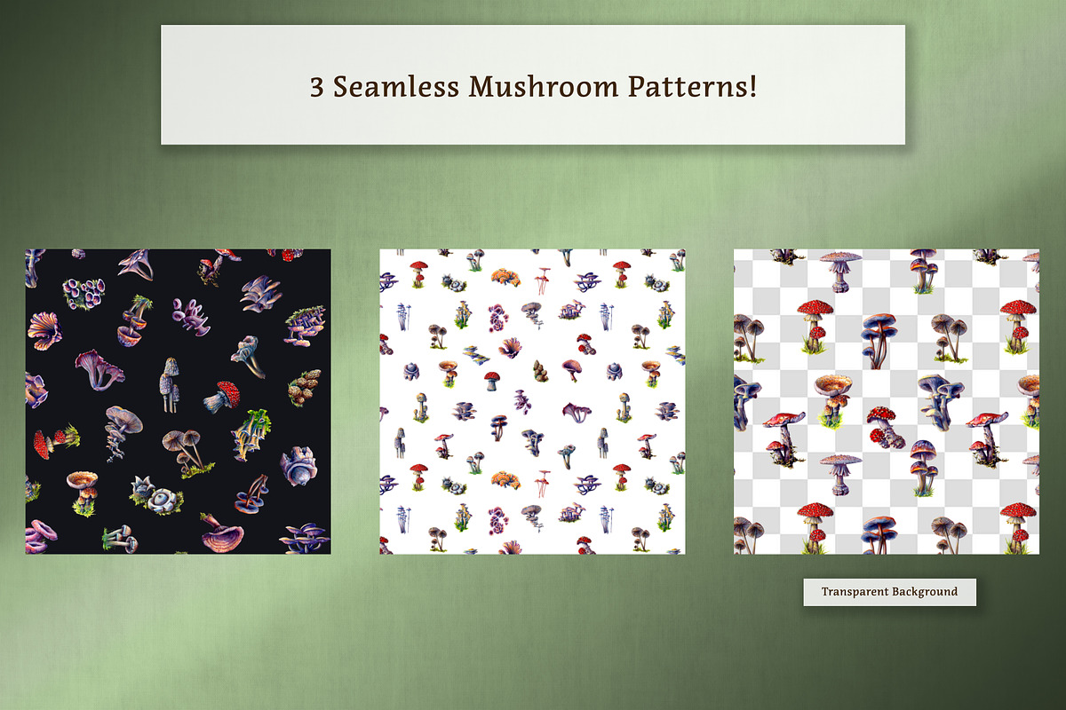 Hand Painted Mushroom Set, an Illustration by The Curio Cabinet (Photo 5 of 6)