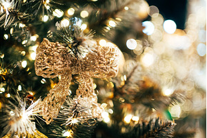 Golden glitter bow decorating a, a Holiday Photo by Anna Efetova