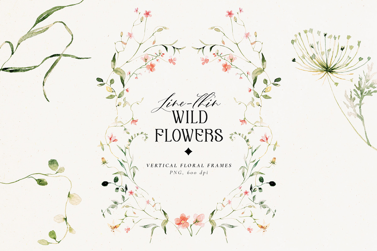 Line-thin watercolor wildflowers, a Decorative Illustration by Pamyatka Shop (Photo 11 of 16)