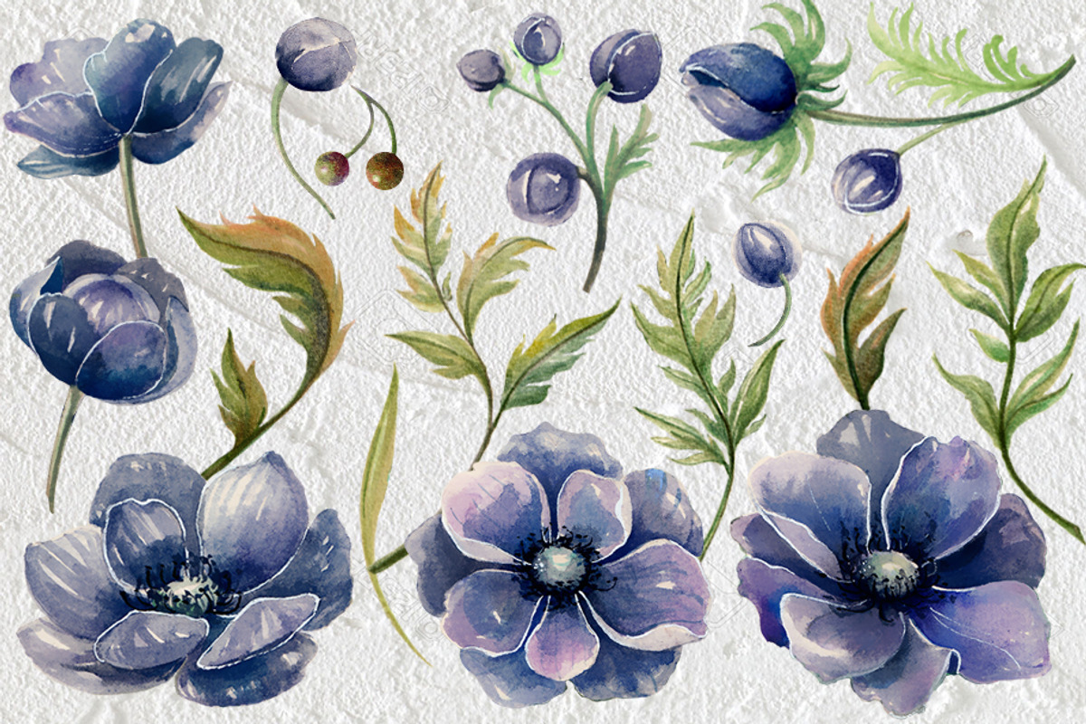 BLUE ANEMONE, a Graphic by AJDA ART (Photo 2 of 4)