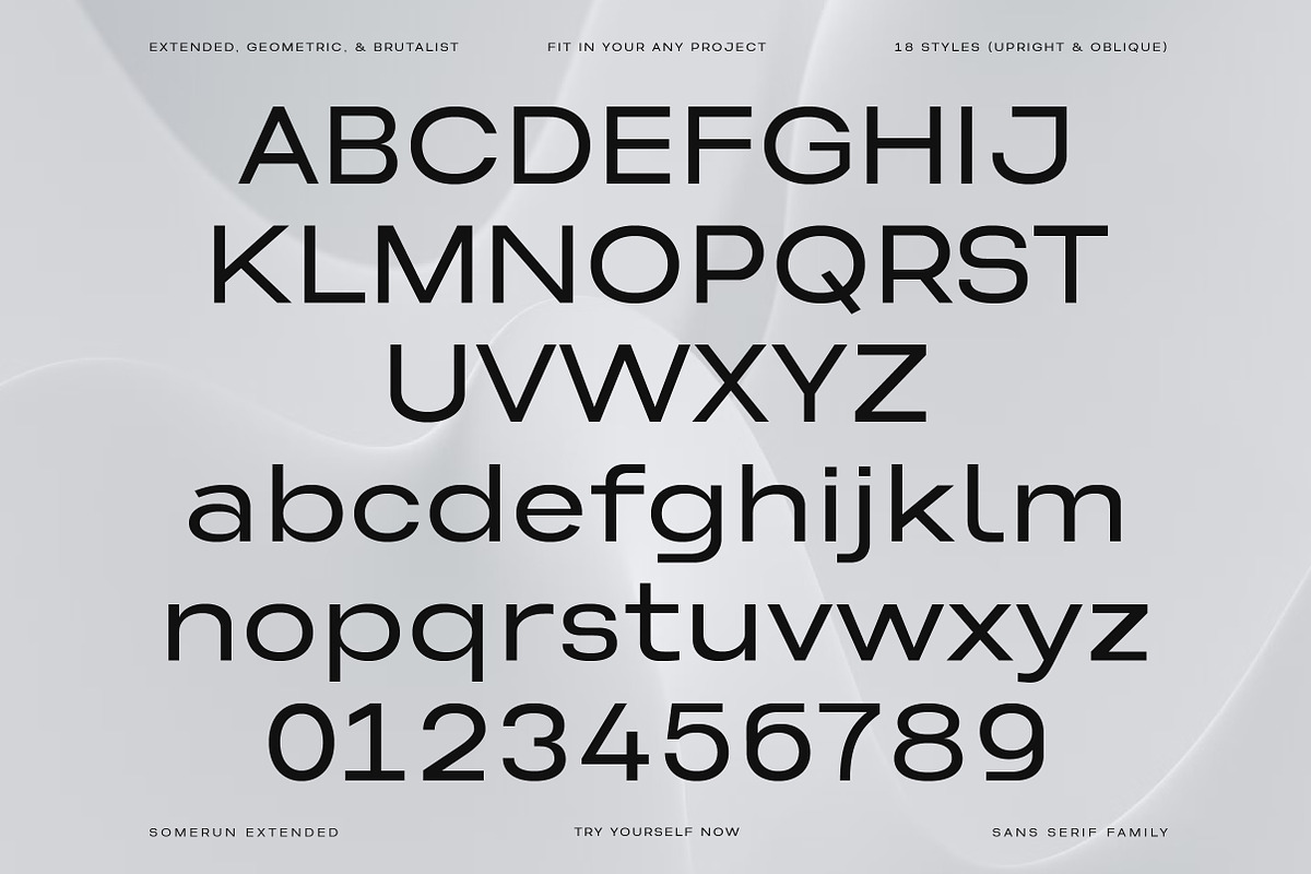 Somerun Extended Sans Family, a Sans Serif Font by Lettertype Studio (Photo 9 of 15)