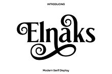 Elnaks Modern Serif Display
