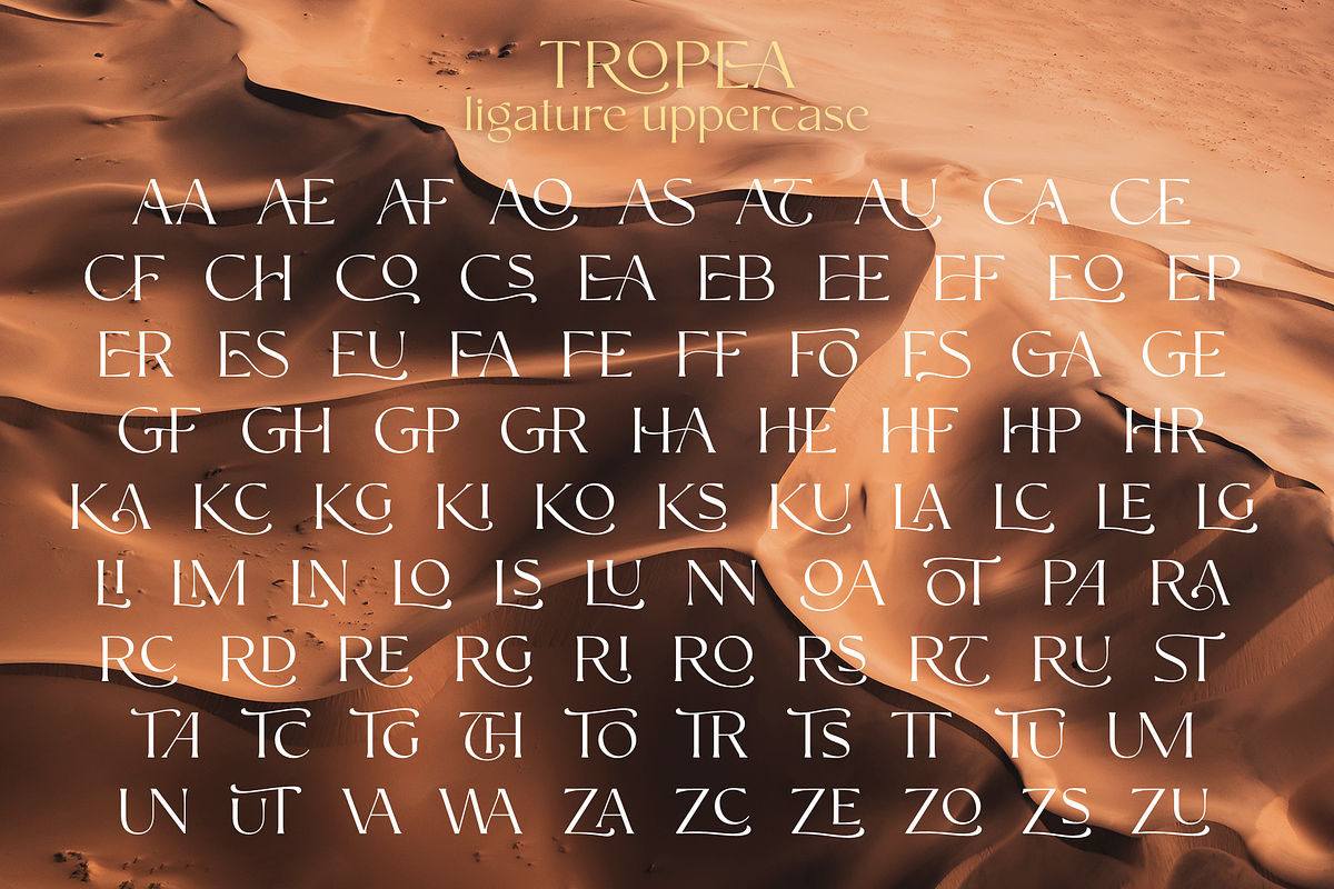 Tropea, a Serif Font by Larin Type Co. (Photo 14 of 15)