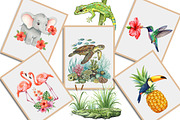 Watercolor Tropical Animals Clipart, an Illustration by Creative Art (Thumbnail 8 of 9)