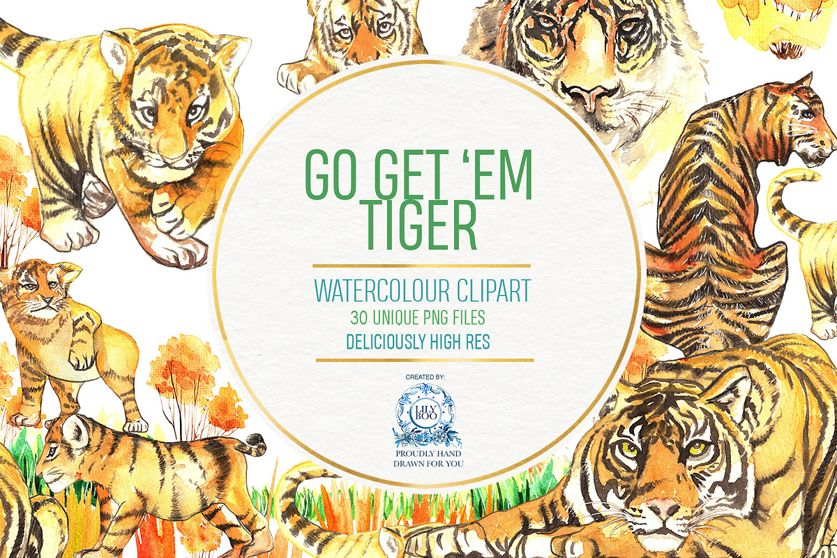 REALISTIC TIGER WATERCOLOUR CLIPART, an Animal Illustration by LilyBoo Clipart (Photo 1 of 5)