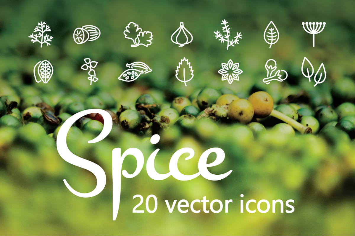 SPICE - vector line icons, an Outline Icon by marusdesign (Photo 1 of 2)