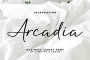 Arcadia - Business Branding Script, a Script Font by Jimtype Studio (Thumbnail 1 of 9)