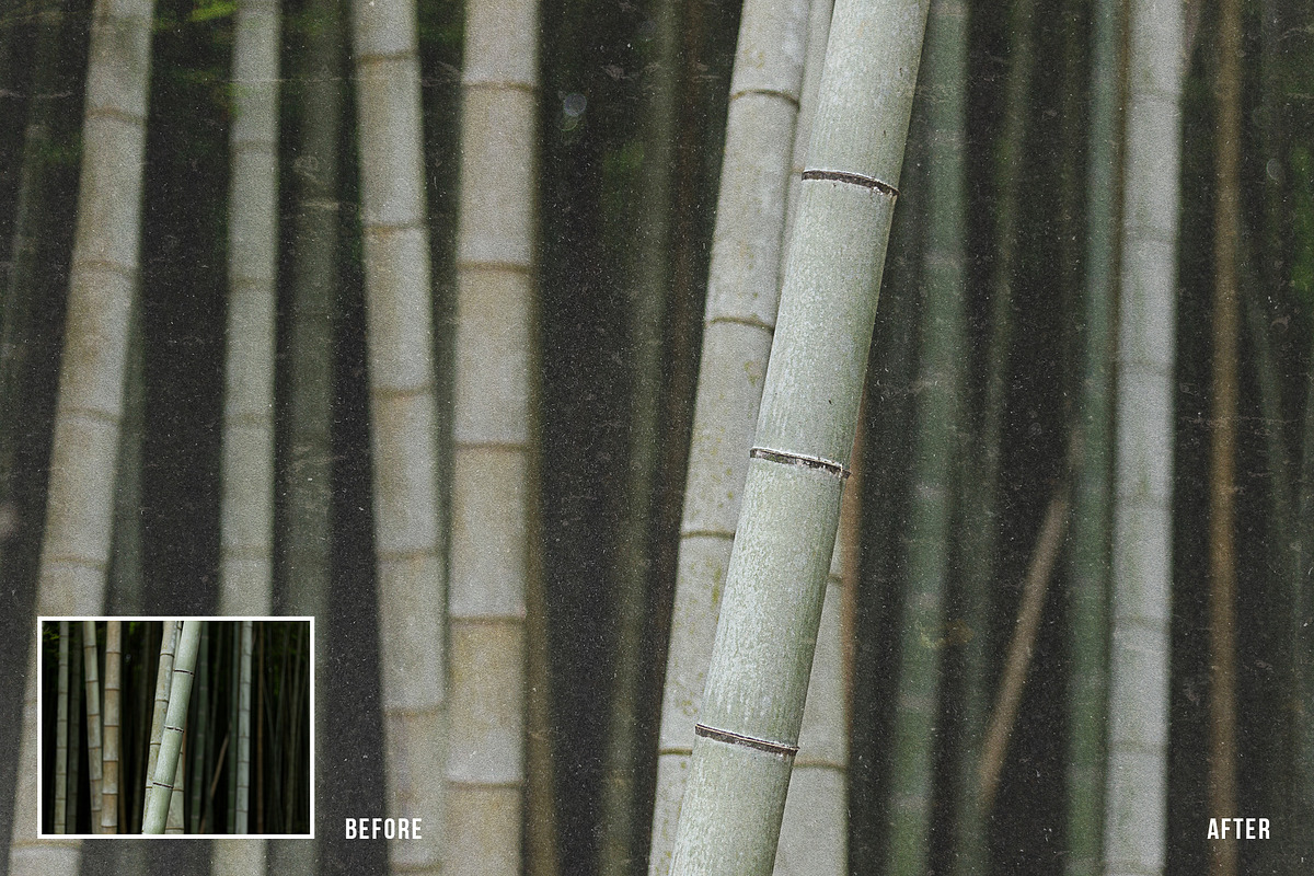 TEXTURIZER Grainy Photoshop Effect, a Templates & Theme by velvetmade.designs (Photo 2 of 14)