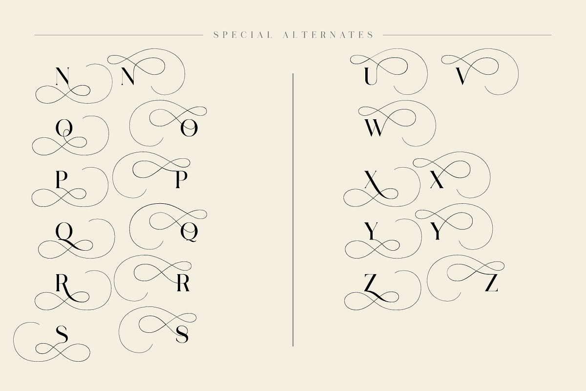 Lostgun Plus | Stylish Typeface, a Serif Font by Qaratype (Photo 20 of 20)