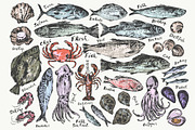 Fish and seafood sketches, a Food Illustration by katya.bogina (Thumbnail 1 of 3)