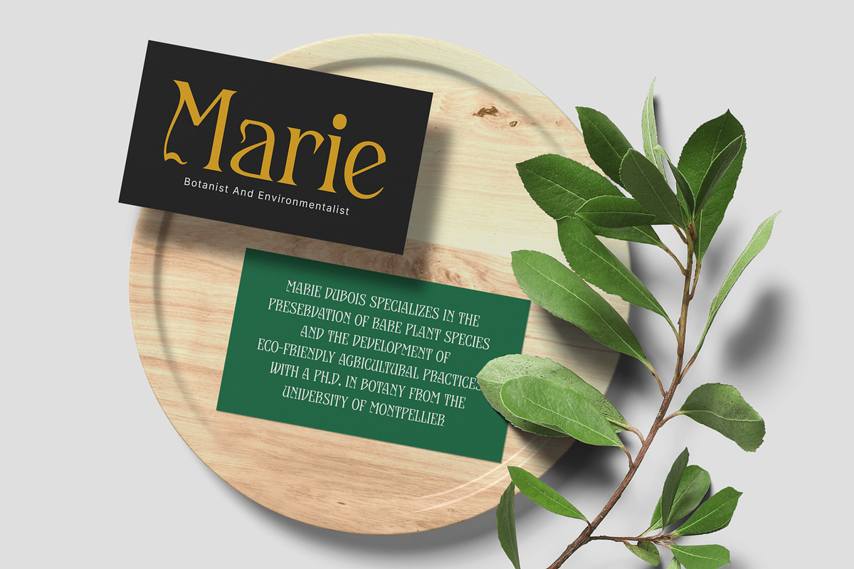 CS Arcane – Decorative Font, a Serif Font by Craft Supply Co. (Photo 5 of 8)