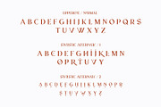 RELIGATH - Serif 316 Ligatures, a Serif Font by Enxyclo Studio (Thumbnail 9 of 11)