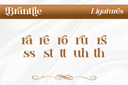 Brantile - Modern Serif Display Font, a Serif Font by Rishsketch (Thumbnail 11 of 14)
