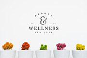 25 Delicate Feminine Logos - Vol 1, a Branding & Logo Template by Davide Bassu (Thumbnail 6 of 6)
