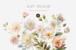 Soft Anemone Floral