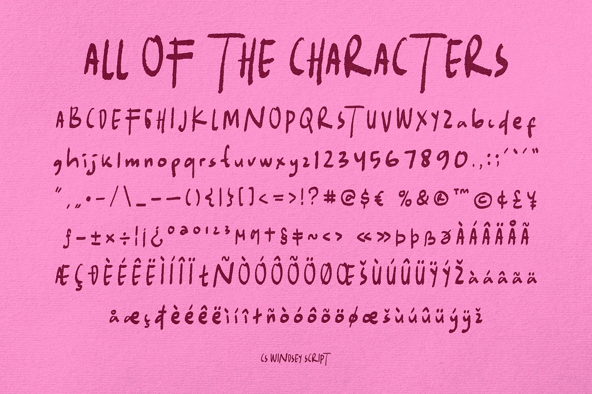 CS Windsey - Duo Font, a Handwritten Font by Craft Supply Co. (Photo 8 of 8)
