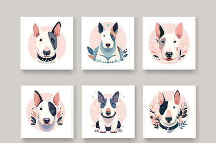Set of dog English bull terrier
