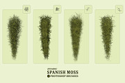 Spanish Moss Photoshop Brushes, a Brush Add-On by Mohamed Saber (Thumbnail 2 of 5)