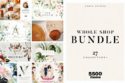 BUNDLE Whole Shop Watercolor Floral, a Decorative Illustration by Veris Studio (Thumbnail 1 of 28)
