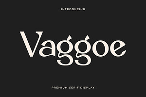 Vaggoe Elegant Serif Font, a Serif Font by Artiveko