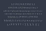Paradizo - Elegant Serif Font, a Serif Font by Surplus Type Co (Thumbnail 7 of 8)
