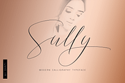 Sully Font Script, a Script Font by danti (Thumbnail 1 of 7)