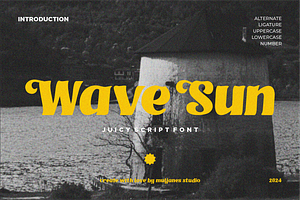 Wave Sun Juicy Script Font
