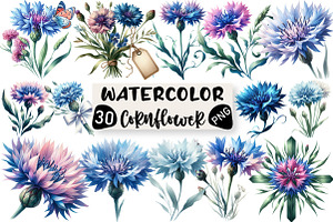 Watercolor Cornflower Clipart, an Illustration by Black Bird Studio