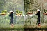 160 Essential Greens Presets, a Preset Add-On by Oak Digital Studios (Thumbnail 8 of 8)