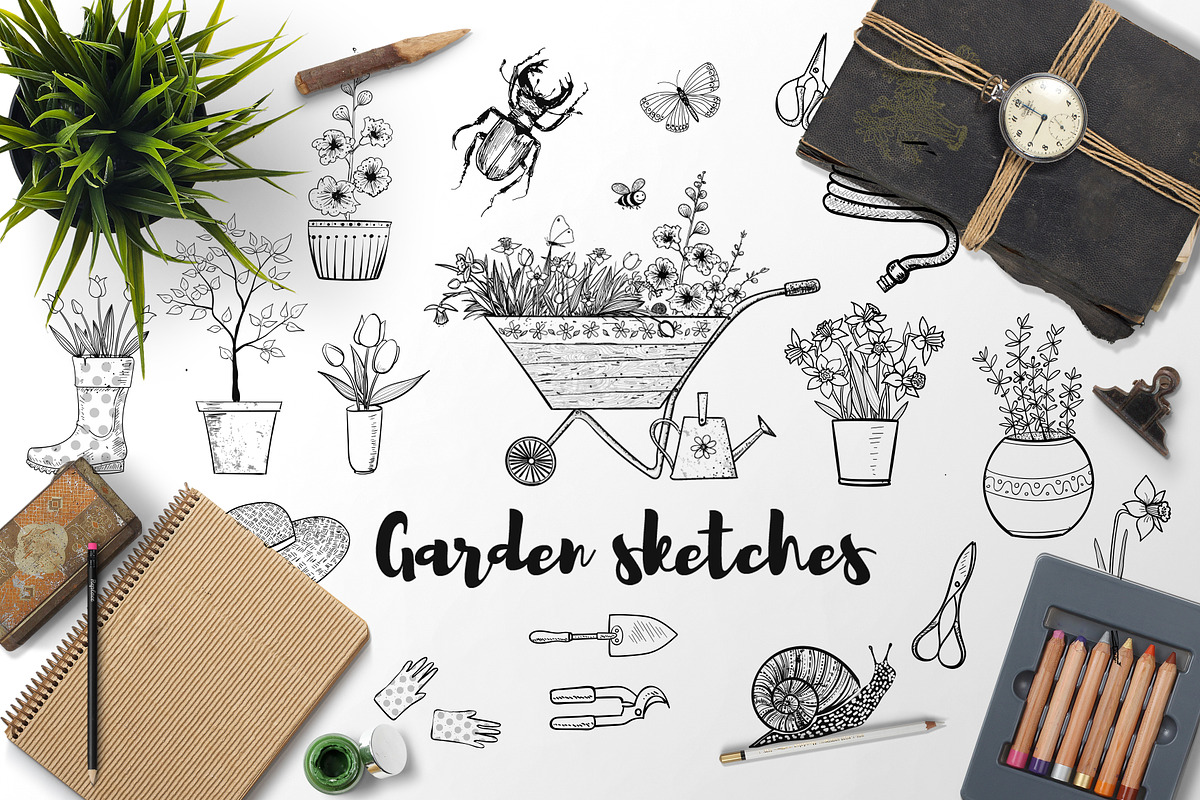 Garden sketches, an Illustration by Elina_Li (Photo 1 of 15)